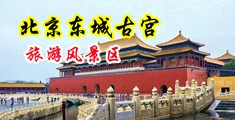 真人XⅩ羞羞小视屏中国北京-东城古宫旅游风景区
